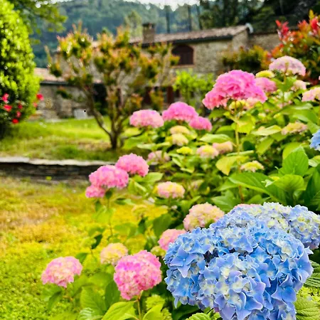 Du Bonheur Cevenol Holiday home *